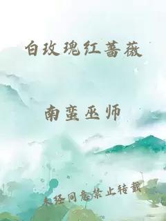 白玫瑰红蔷薇